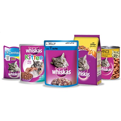 Cat & Kitten Foods