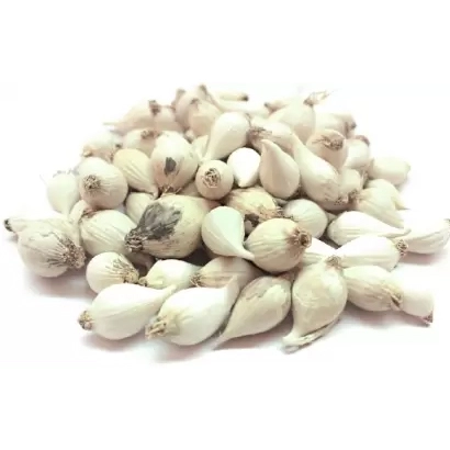 Garlic (One Seed) 1 kg