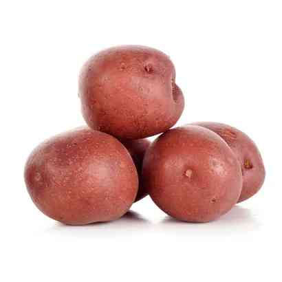 Potato Red